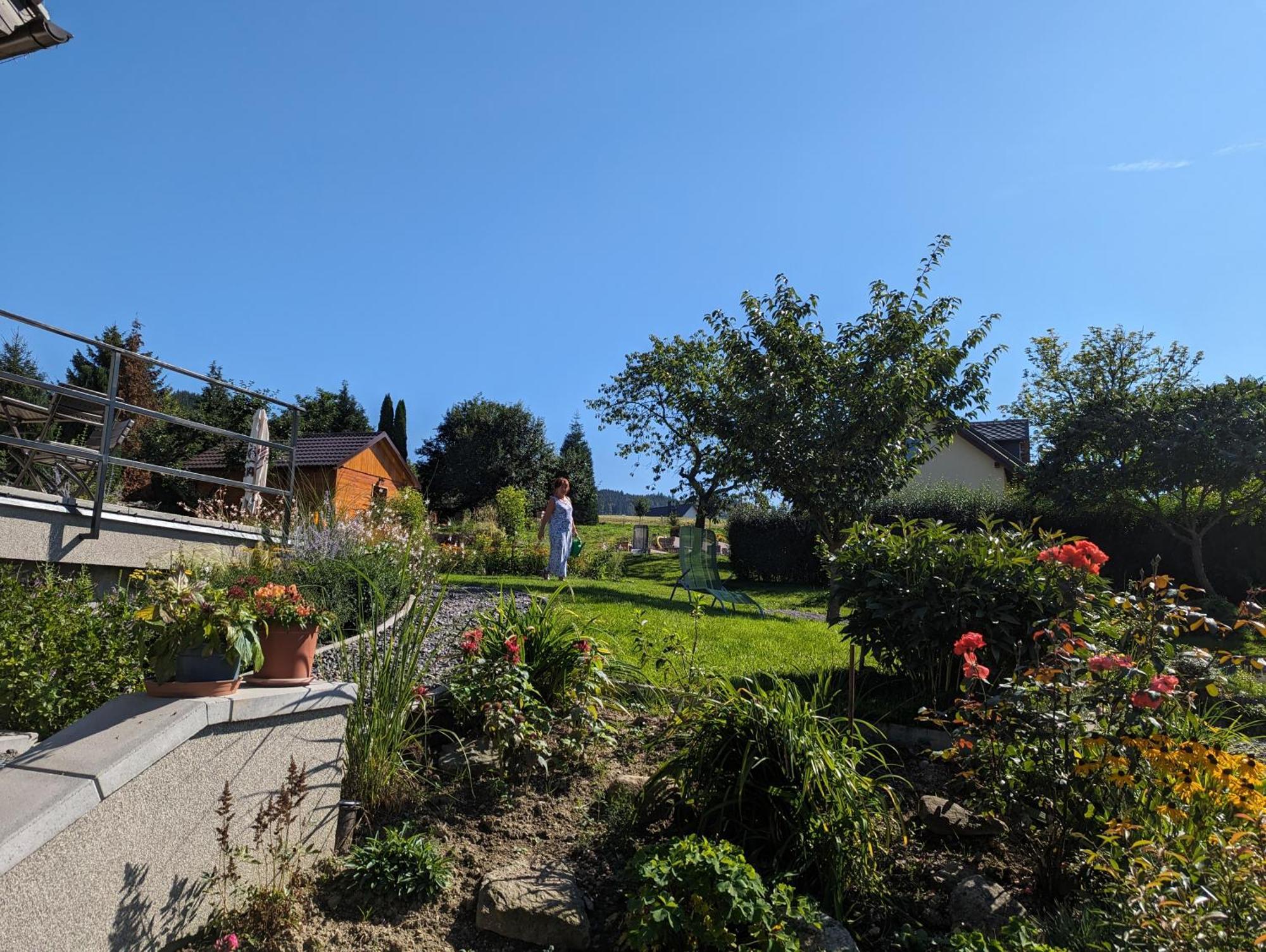 Penzion U Vichu Cervena Voda Exterior photo